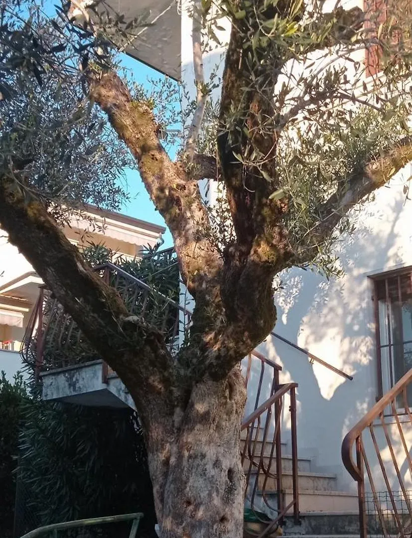 Ferienwohnung Casa Anna Garda  Apartment